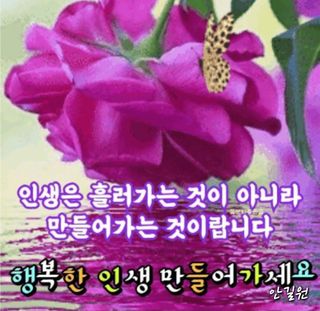 안길원님의 자유주제 · 자유게시판 작성글 사진