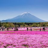 팜모닝 자유주제·자유게시판 게시글 이미지
