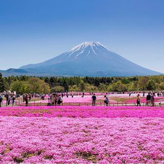 장관덕님의 자유주제 · 자유게시판 작성글 사진