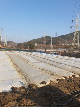 옥천서화농님의 자유주제 · 자유게시판 작성글 사진