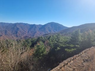 김재평님의 작성글 사진
