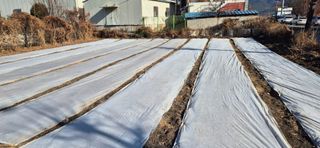 박산하님의 자유주제 · 자유게시판 작성글 사진