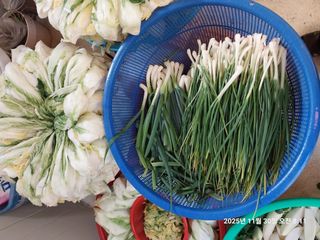 성주 농업인님의 자유주제 · 자유게시판 작성글 사진