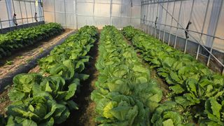 인제 돈키호테님의 자유주제 · 자유게시판 작성글 사진