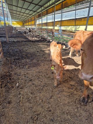 이정민님의 자유주제 · 자유게시판 작성글 사진