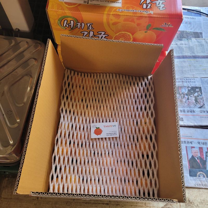 서귀포달코롬감귤농원님의 장터 판매 상품 [저농약 조생귤 10kg] 첨부 사진