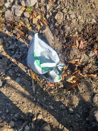 김용대님의 자유주제 · 자유게시판 작성글 사진