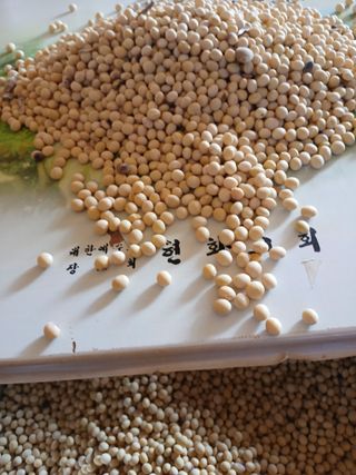 최유순님의 자유주제 · 자유게시판 작성글 사진