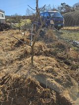 팜모닝 자유주제·자유게시판 게시글 이미지