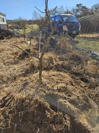 김용석님의 자유주제 · 자유게시판 작성글 사진