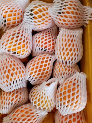 독고다이님의 작성글 사진