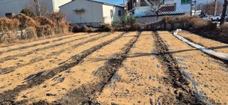 박산하님의 자유주제·자유게시판 작성글 사진