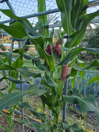 이정민님의 자유주제 · 자유게시판 작성글 사진