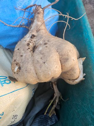 김석중님의 작성글 사진