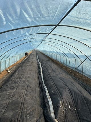 병풍취산채농원님의 자유주제 · 자유게시판 작성글 사진