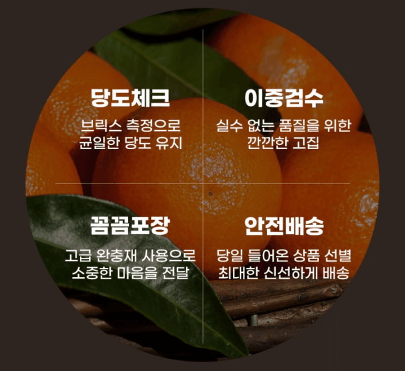 스피드번님의 장터 판매 상품 [(가정용) 노지 감귤 ] 첨부 사진