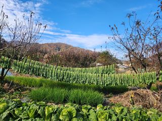 유일기님의 자유주제 · 자유게시판 작성글 사진
