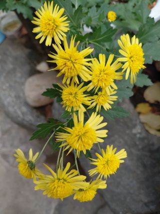 정보센터님의 자유주제 · 자유게시판 작성글 사진