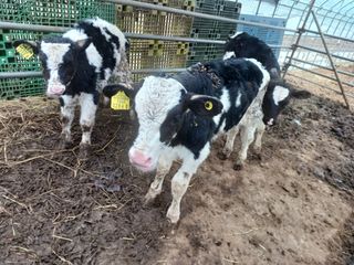 이정민님의 자유주제 · 자유게시판 작성글 사진