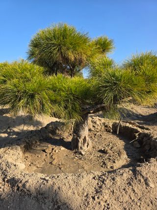작은소나무님의 자유주제 · 사진전 작성글 사진