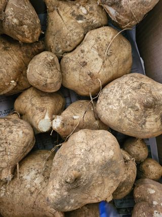 김석중님의 작성글 사진