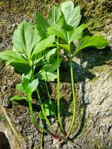 팜모닝 자유주제·자유게시판 게시글 이미지