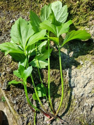 박진규님의 자유주제 · 자유게시판 작성글 사진