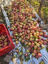 팜모닝 자유주제·자유게시판 게시글 이미지