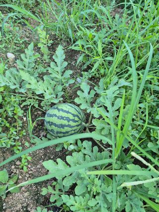 이정민님의 자유주제 · 자유게시판 작성글 사진