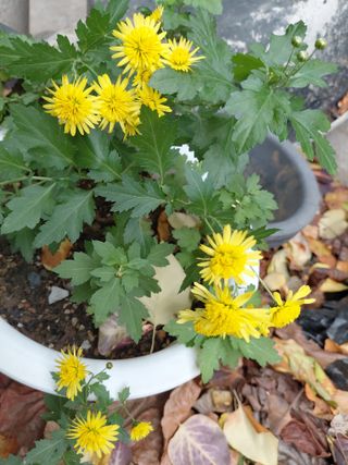 정보센터님의 자유주제 · 자유게시판 작성글 사진