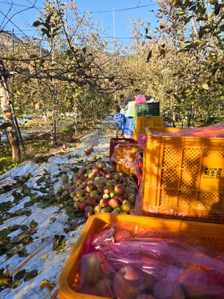 최동구님의 자유주제 · 자유게시판 작성글 사진