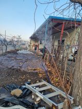 팜모닝 자유주제·자유게시판 게시글 이미지