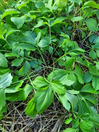 박진규님의 자유주제 · 자유게시판 작성글 사진