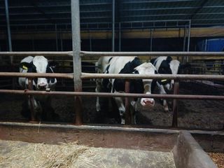 이정민님의 자유주제 · 자유게시판 작성글 사진