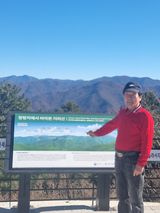 팜모닝 · 게시글 이미지