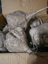 팜모닝 자유주제·자유게시판 게시글 이미지