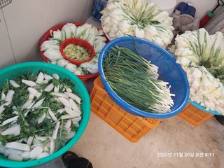 성주 농업인님의 자유주제 · 자유게시판 작성글 사진