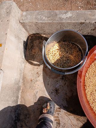 최유순님의 자유주제 · 자유게시판 작성글 사진