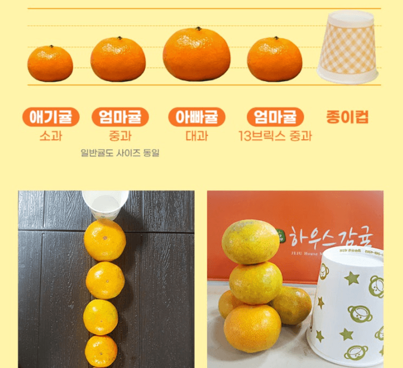 스피드번님의 장터 판매 상품 [(가정용) 노지 감귤 ] 첨부 사진