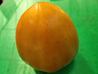 독고다이님의 작성글 사진