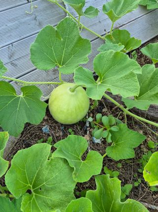 이정민님의 자유주제 · 자유게시판 작성글 사진