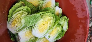 배순녀님의 자유주제 · 자유게시판 작성글 사진