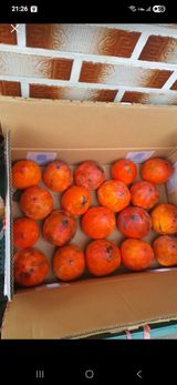 팜모닝 자유주제·자유게시판 게시글 이미지