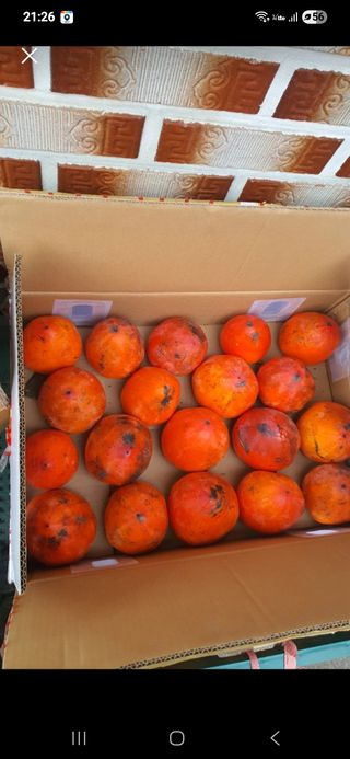 채소님의 자유주제 · 자유게시판 작성글 사진