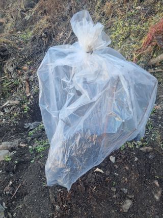 김용대님의 자유주제 · 자유게시판 작성글 사진