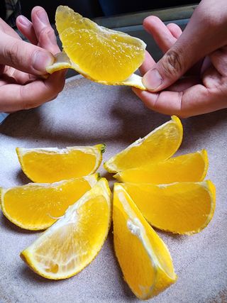 제주부자팜님의 작성글 사진