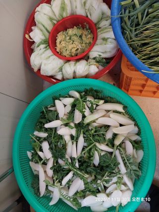 성주 농업인님의 자유주제 · 자유게시판 작성글 사진