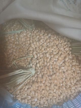 최유순님의 자유주제 · 자유게시판 작성글 사진