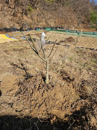 김용석님의 자유주제 · 자유게시판 작성글 사진