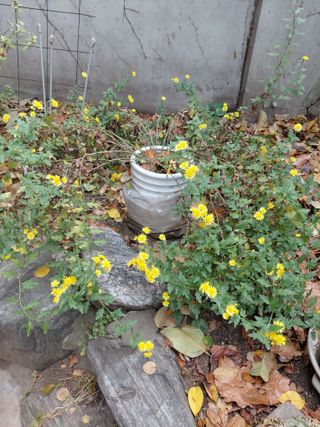 정보센터님의 자유주제 · 자유게시판 작성글 사진